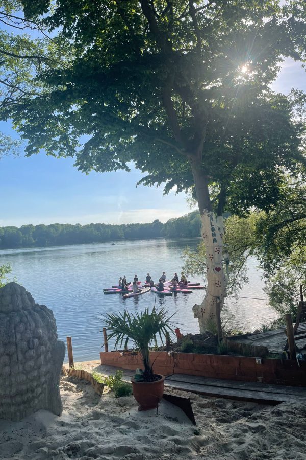 Das Bild zeigt eine SUP Yoga Klasse auf dem ruhigen See vom Aloha Strand. Durch einen Baum scheint die Sonne idyllisch auf den See.